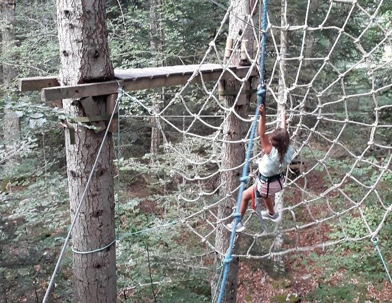 Hébergement de vacances Les Sapins *